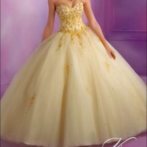 Vizcaya By Mori Lee Embroidered Tulle Dress